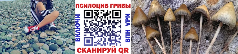 Псилоцибиновые грибы мицелий  наркота  Сыктывкар 